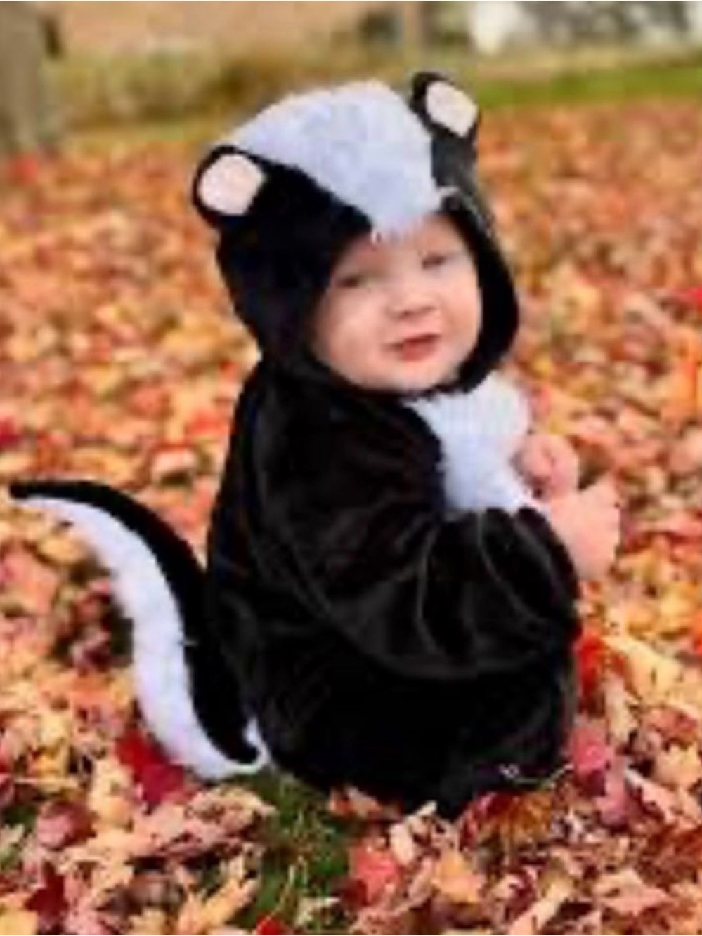 Going Wild Lil Stinker Skunk 🦨 Size 6-9 months Halloween costume Zoo Animal Soft